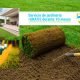 Servicio de Jardinería GRATIS durante 10 meses